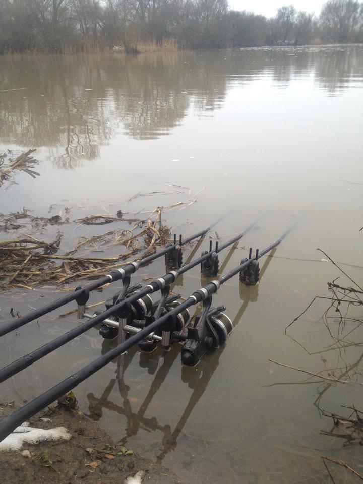 foto bune. - 11848334126192488376101917980686n.jpg